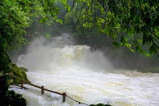 吃瓜贵州高铁,穿越山水画卷，感受速度与激情