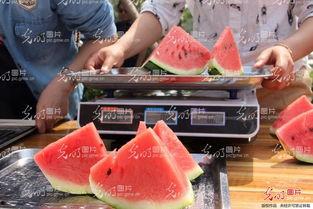 吃瓜山东硕士,揭秘网络舆论背后的真相与反思