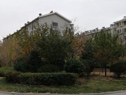 水岸华府吃瓜,吃瓜群众揭秘社区生活点滴