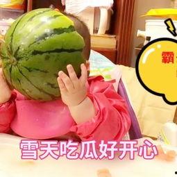 可以吃瓜的玩具,揭秘那些让人垂涎欲滴的“吃瓜”玩具