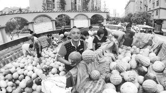 吃瓜困难户,揭秘他们为何难以享受夏日清凉