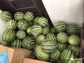 科贸吃瓜群,揭秘职场八卦背后的真实故事