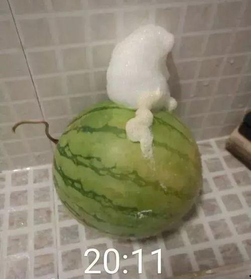 吃瓜少女吐泡泡,揭秘娱乐圈幕后故事