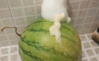 吃瓜少女吐泡泡,揭秘娱乐圈幕后故事