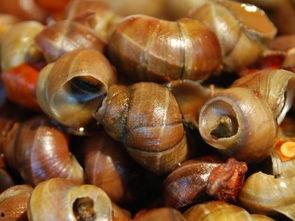 吃田螺时可以吃瓜吗,夏日消暑美食搭配指南