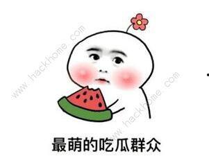 什么是抖音吃瓜,网络舆论场上的“瓜田”众生相