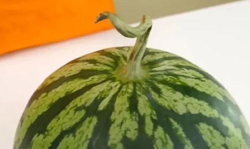 打开吃瓜网,网络舆论场上的“瓜王”解析