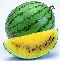 以色列贵族吃全瓜,全瓜盛宴背后的文化内涵