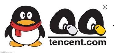 免费吃瓜qq入口在哪,畅享海量资讯，轻松获取瓜界最新动态