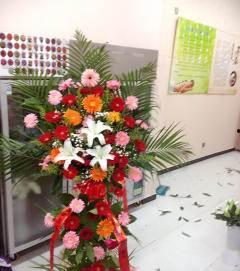 唐山花店最新吃瓜,揭秘最新吃瓜事件背后的花语秘密