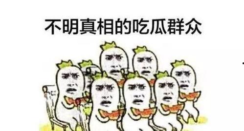 碣石吃瓜群众事件,一场网络舆论的风暴与反思