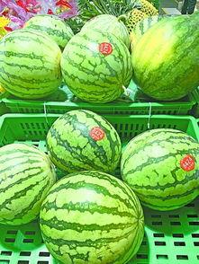 武汉中学吃瓜,一场别开生面的“吃瓜”大戏