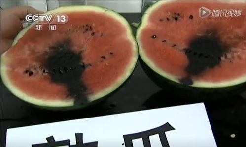 西瓜君吃瓜视频,揭秘娱乐圈幕后故事