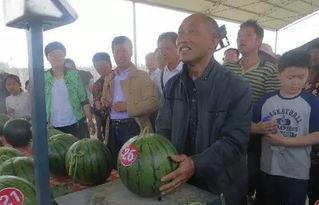 2024免费吃瓜内黄群众,内黄群众共享欢乐时光