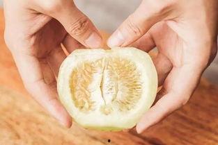 只吃里面籽的瓜,探寻只食籽的瓜类美食之旅