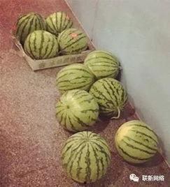 波萝吃瓜,揭秘网红美食背后的故事