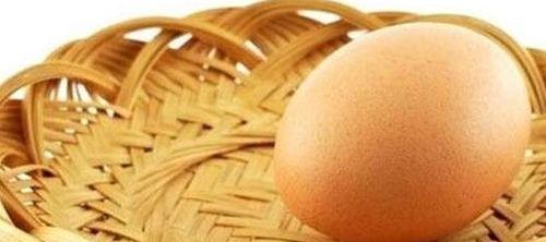 小金鱼可以吃瓜,瓜果美食之旅