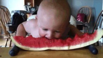 吃瓜婴儿图片可爱,吃瓜婴儿萌态十足，可爱指数爆表