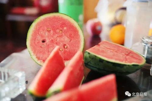 吃瓜维持生命,揭秘“吃瓜维持生命”的神奇现象