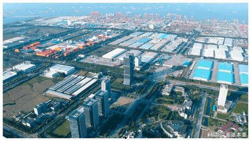 太仓港区吃瓜,瓜果飘香，美食之旅