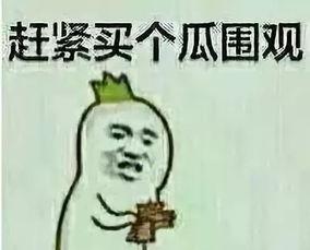 吃瓜群众5557,揭秘网络热议背后的真相