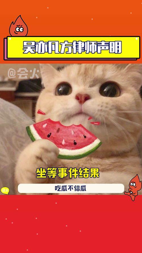 吃瓜总是吃不明白,揭秘那些让人摸不着头脑的娱乐圈风云