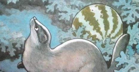 猹怎么吃瓜,解锁独特味蕾体验