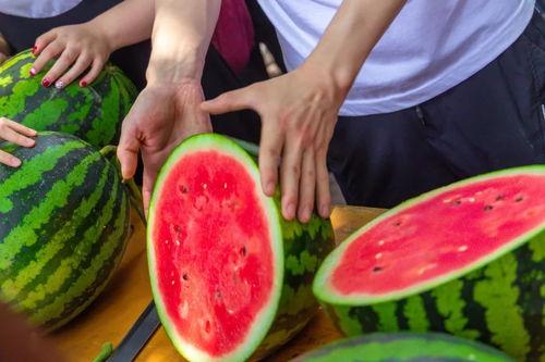 郑州吃瓜学院,揭秘城市美食背后的故事与传奇