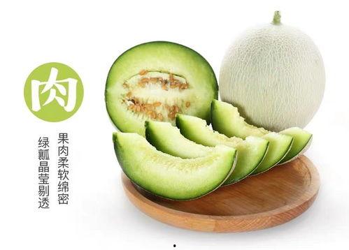 孩子吃网纹瓜好吗,孩子健康饮食新选择