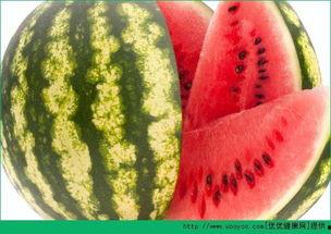 不老吃瓜,不老吃瓜，探寻明星不老神话背后的真相