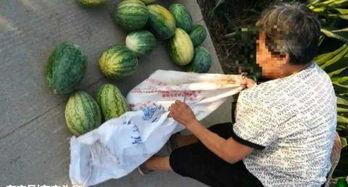 锦华吃瓜最新视频,揭秘娱乐圈最新热点事件