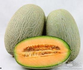 小福吃哈密瓜,小福的哈密瓜美食之旅