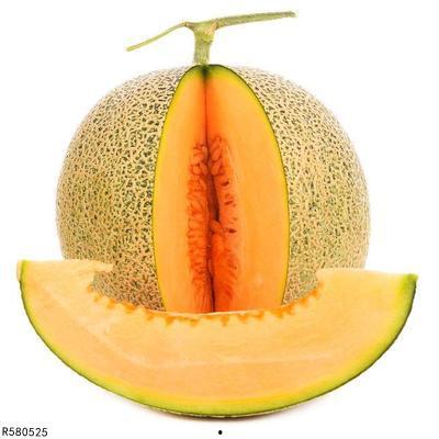 小福吃哈密瓜,小福的哈密瓜美食之旅