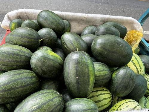 如何吃朋友的瓜,如何巧妙地吃朋友的瓜，既解闷又不失风度