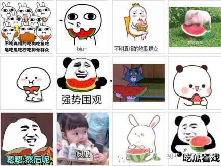 趴着窗户吃瓜词语,揭秘网络热词背后的趣味与现象