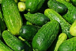 梦见有人给我吃瓜,瓜果飘香，神秘赠食之谜