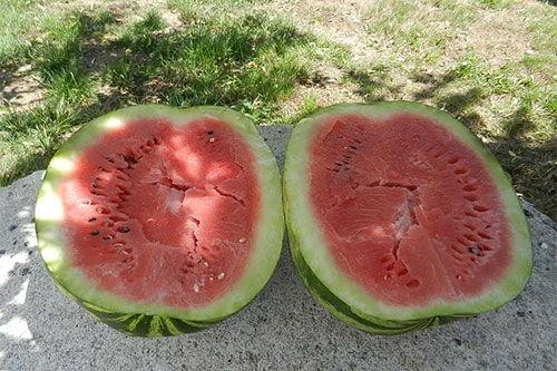 梦见有人给我吃瓜,瓜果飘香，神秘赠食之谜