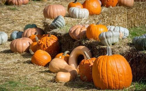 吃瓜彝族,独特饮食文化背后的故事