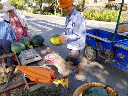 吃瓜群众搬家视频,趣味横生，温馨满满
