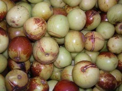 吃瓜裂枣,揭秘瓜果界的“网红”现象