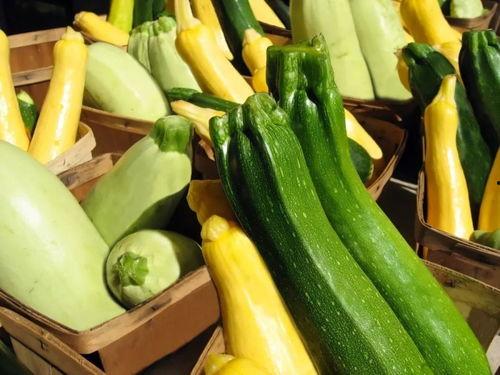 醮蒜吃瓜,探寻醮蒜吃瓜的独特风味