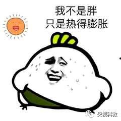 吃瓜大王顶呱呱,揭秘娱乐圈幕后风云