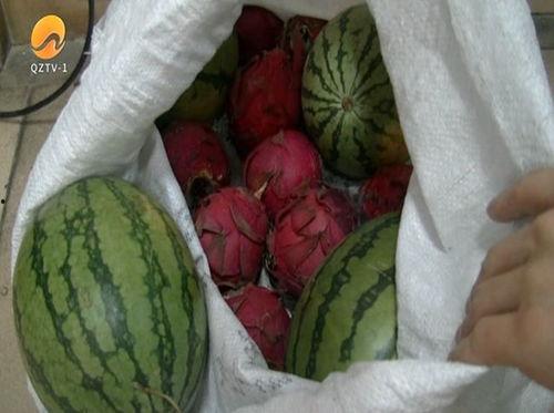 打工吃瓜,一起吃瓜看世界