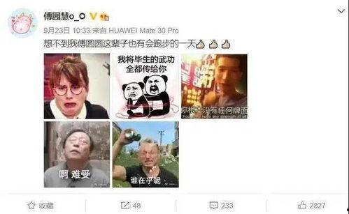 吃瓜群众教练,揭秘网红教练的幕后故事