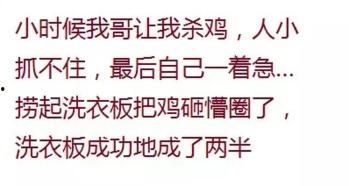 讽刺无脑吃瓜的文案