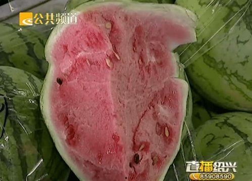 绍兴疫情吃瓜,吃瓜群众视角下的实时动态与反思