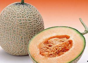 吃哈密瓜猿猴,探寻猿猴的饮食习惯与智慧