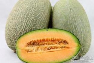 吃哈密瓜猿猴,探寻猿猴的饮食习惯与智慧