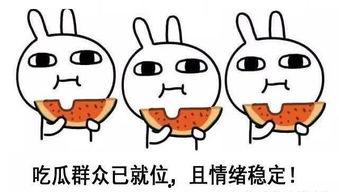 大熊骂人酒神吃瓜