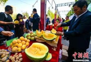 梧州吃瓜最新视频,最新视频揭秘街头美食狂欢